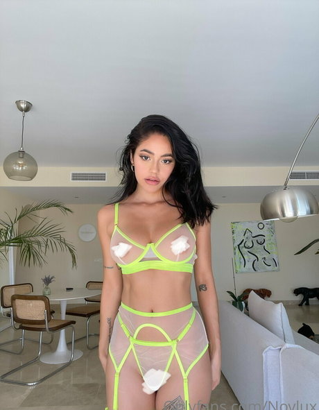 Novlux joli modèle galeries