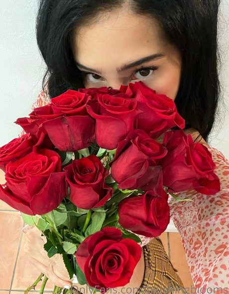 blushingblooms art star du porno galerie