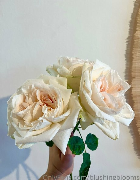 blushingblooms actrice chaude collection