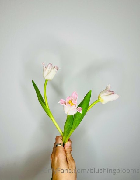 blushingblooms xxx étoile archive