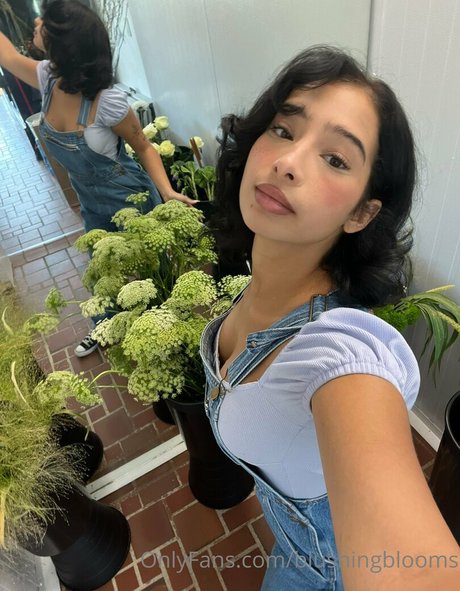 blushingblooms star du porno de haute qualité image