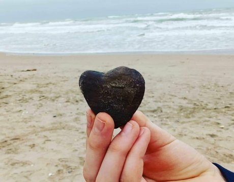 natuvic free belle star du porno img