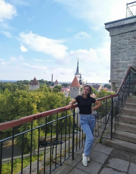 sandras s art modèle collection