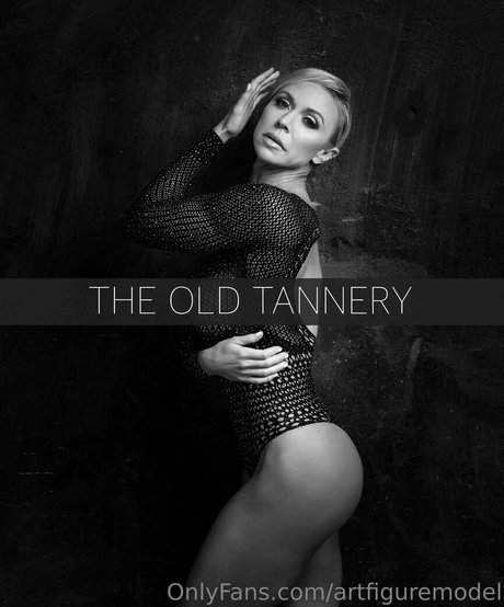 artfiguremodel star du porno sexy img