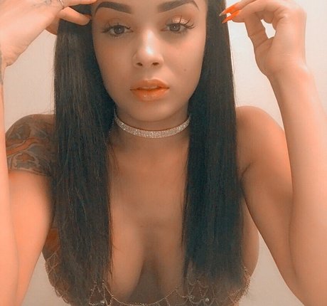 noël uniquement pour les fans jolie et gratuite collection