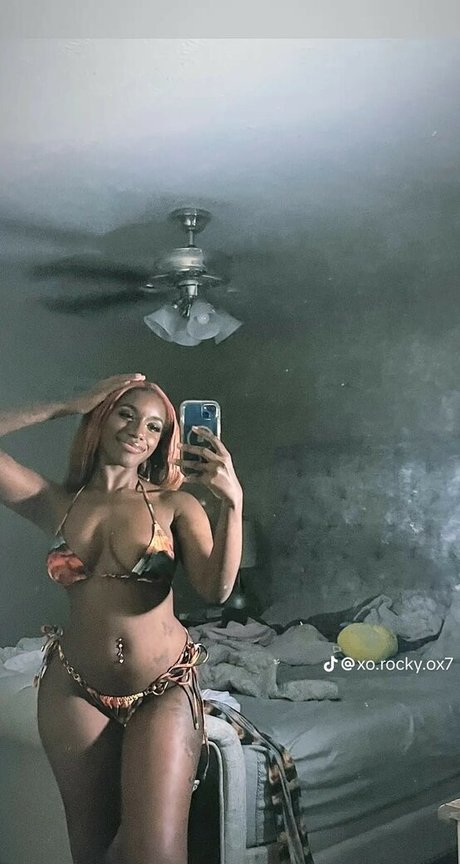 xo rocky ox7 étoile parfaite archive