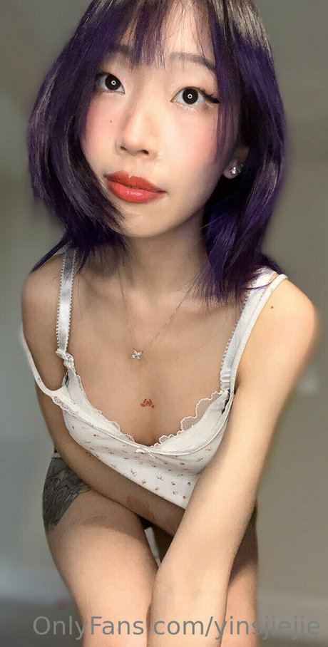 yinsdere nus étoiles collection