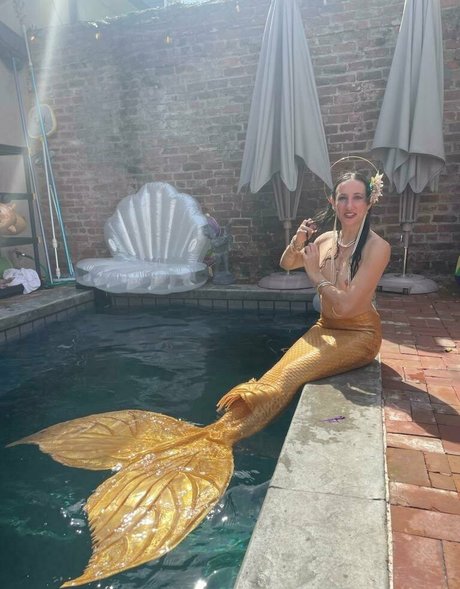 katcalico modèle magnifique galeries