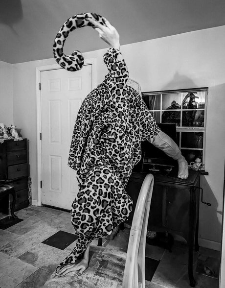 katcalico jolie actrice image