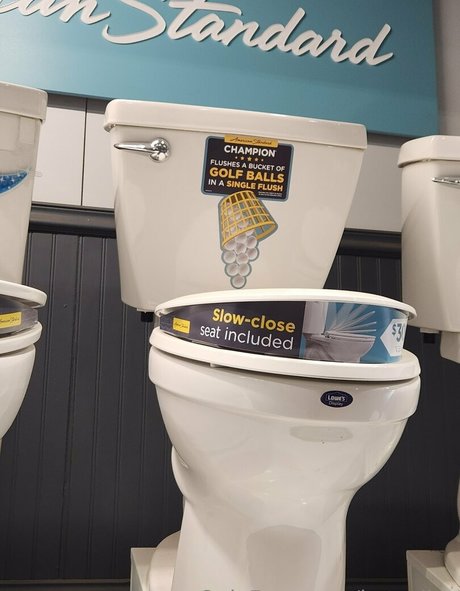 katcalico art modèle des photos