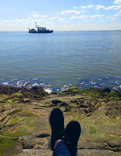 sandydoppeld belle étoile photos