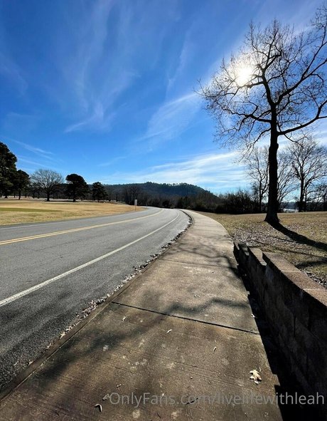 leahsade art étoile collection