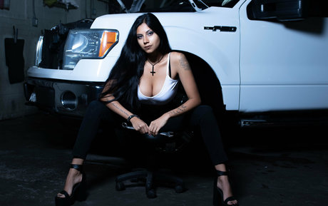 bengalivixen étoile chaude galeries