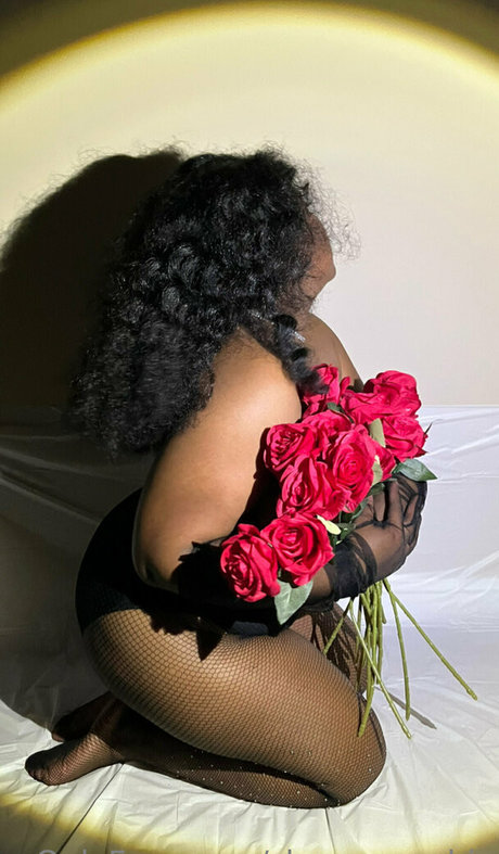 shaycrazychic art star du porno collection