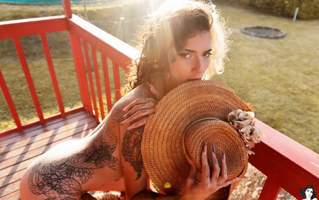 Lolitta haut étoile galerie