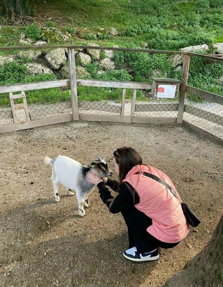 littletennisgirl xxx étoile collection