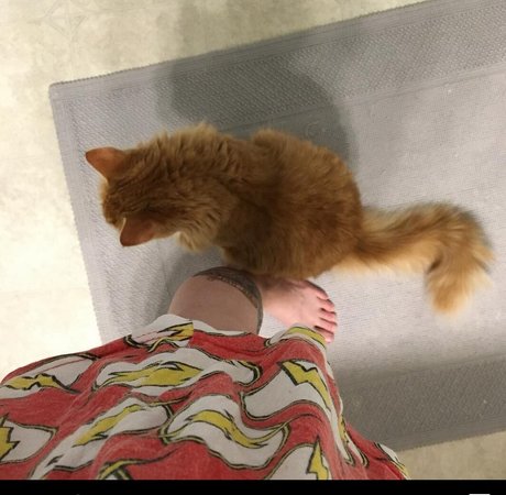 Amanda The Jedi modèle nu photos