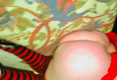 bootyhole king étoile xxx galerie