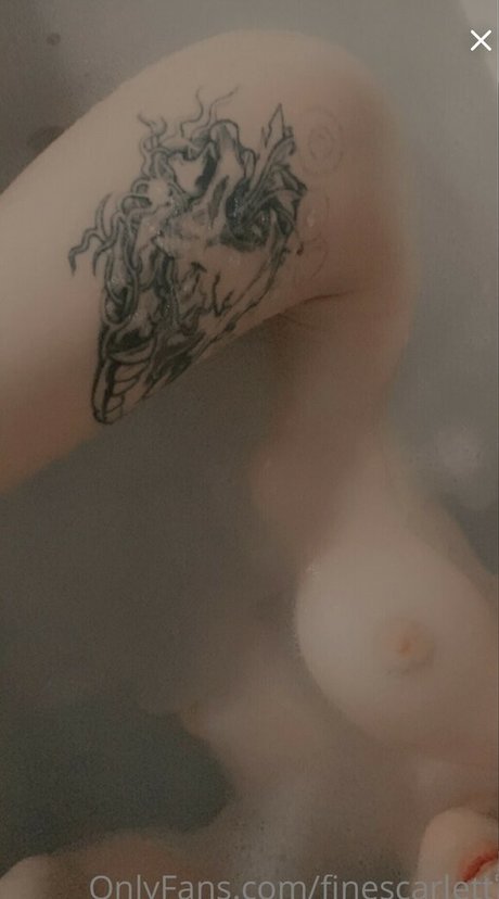 Finescarlett nus de stars du porno photos