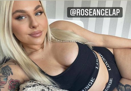 hxneyteexfree étoile chaude galeries