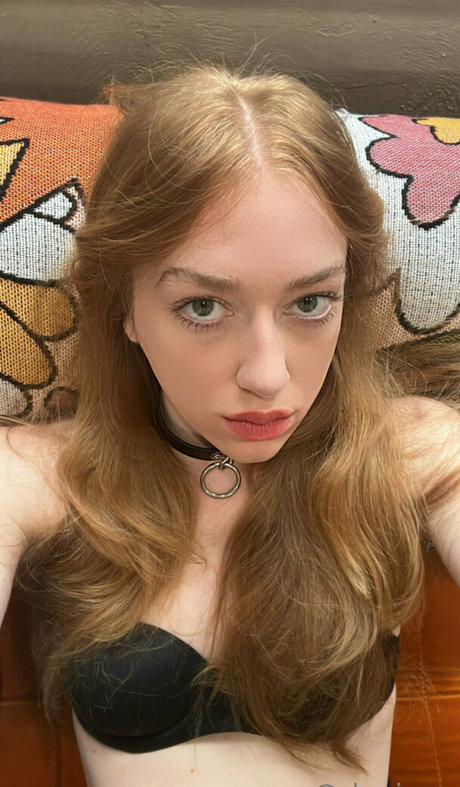 fans de tgirl uniquement bel art collection