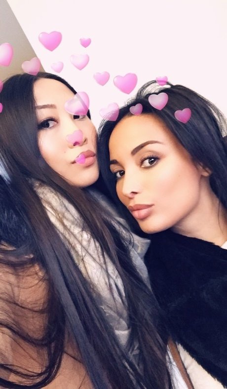 Anissakate modèle de haute qualité photo