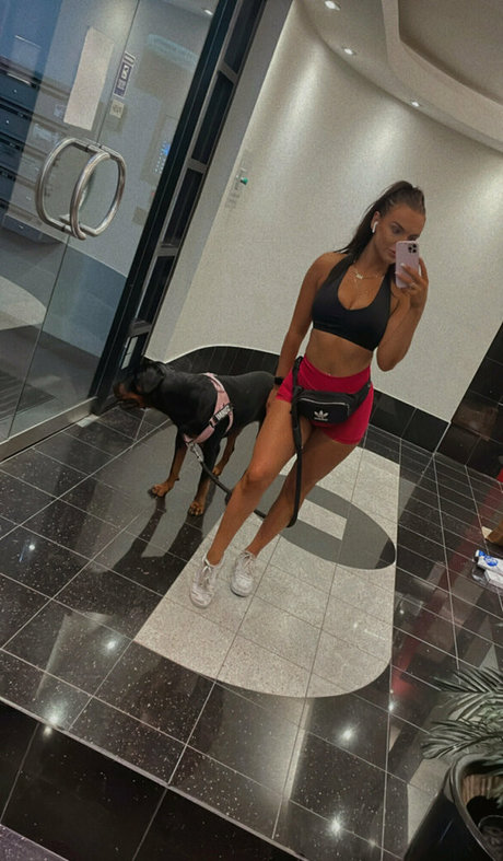 laurensibbaldd étoile gratuite archive