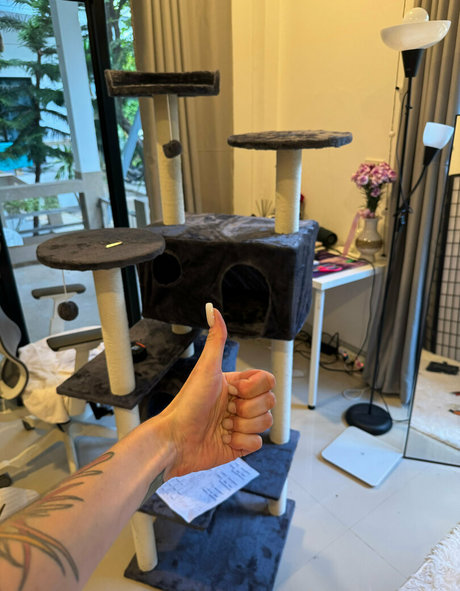 iamvirtuallady haut de star du porno archive