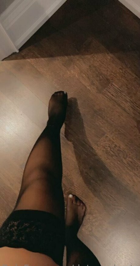 Dataznshorty modèle parfait archive