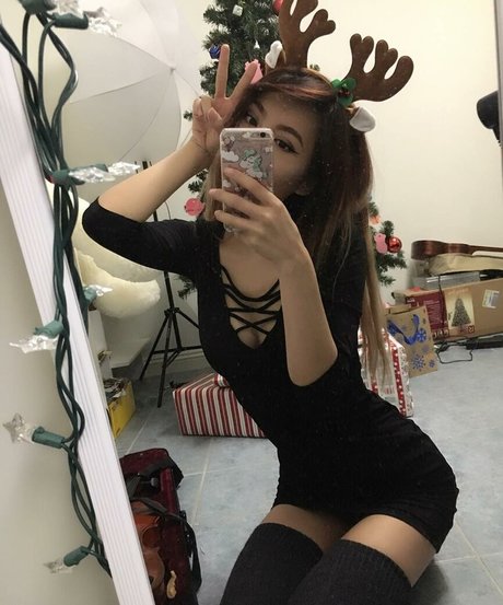 Jasmina modèle gratuit collection