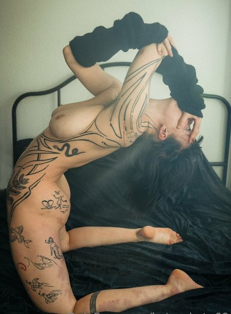 keterakete69 étoile xxx archive