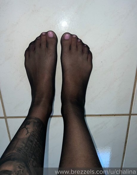 Chalina l star du sexe collection