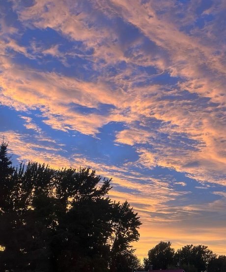 thenaughtykim haut modèle collection