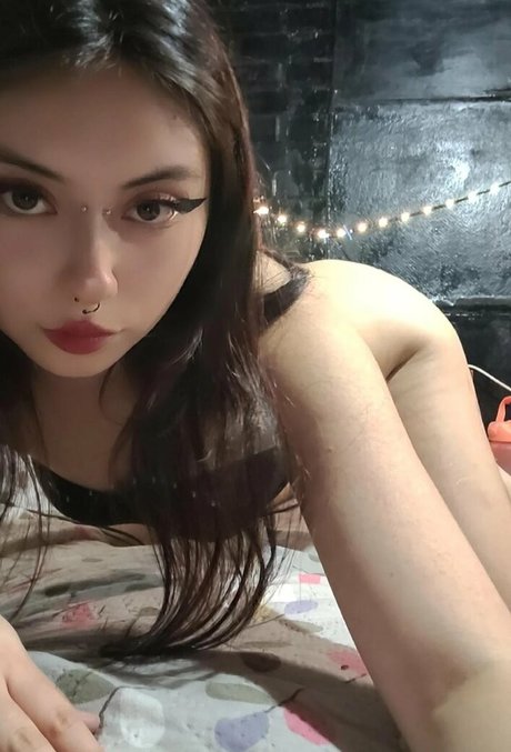 pandaaauu nus star du porno archive