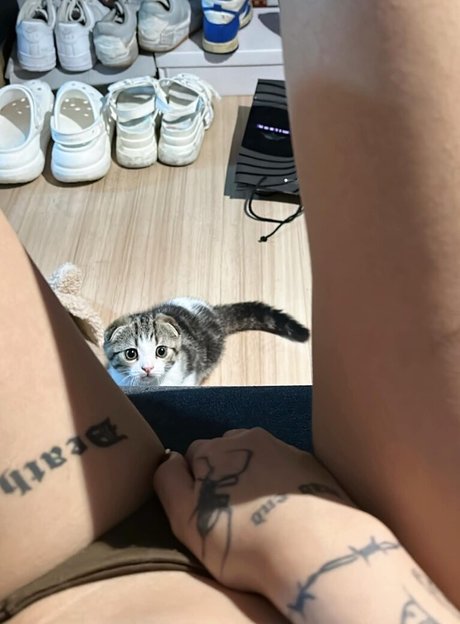 Gupgiiiiift haut modèle photo