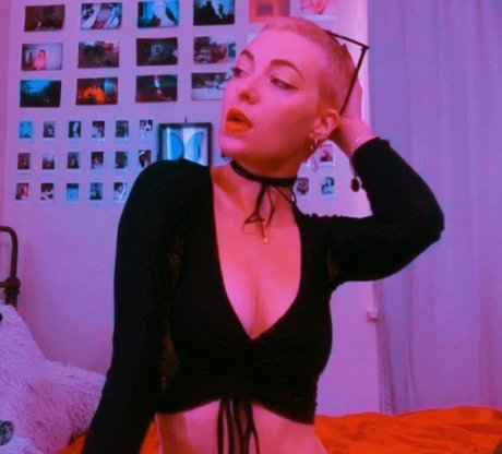 Avalon Valore haut étoile photos