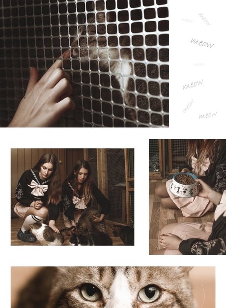 Agrifano meilleure star du porno galeries