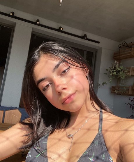 _malusg haut étoile des photos