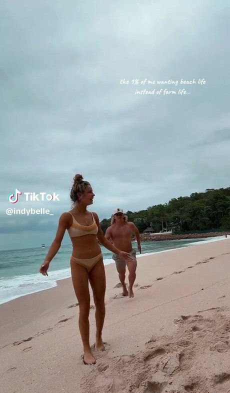 Indy Belle étoile de haute qualité galeries