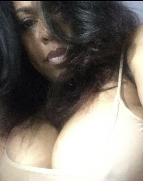 fans de seins et de cul uniquement meilleur pornographique collection