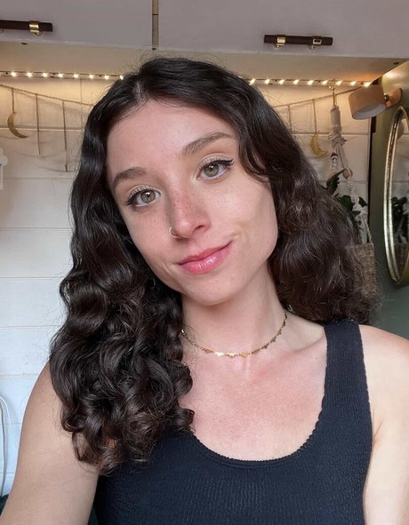 forest fox étoile sympa galeries