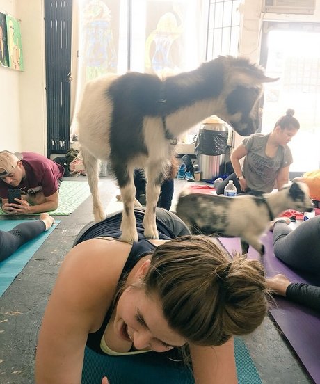 Erica Lindbeck Fotoaufnahmen