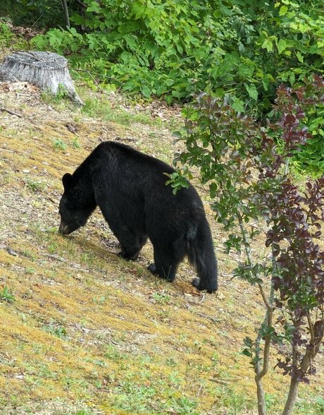 Fallon Jane actrice libre photos