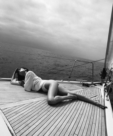 Chandler Bailey top star collection