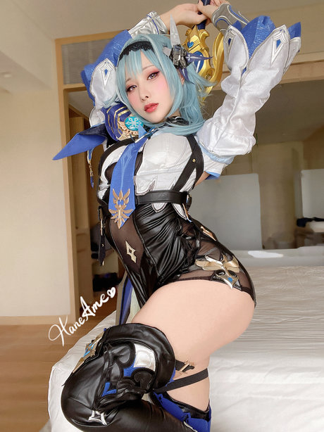 Haneame modèle images