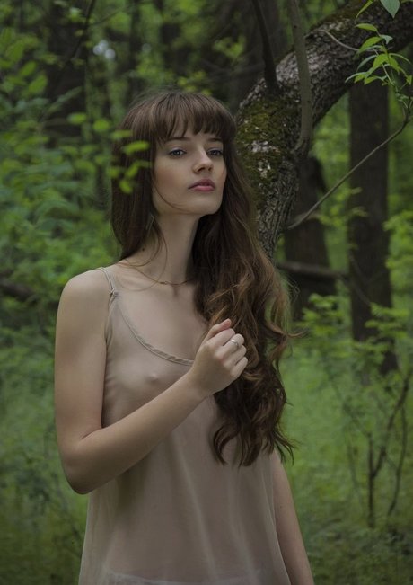 Shol Nastya étoile collection