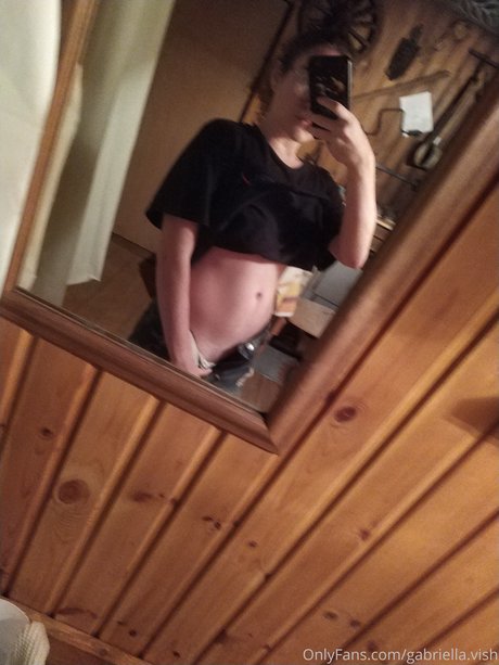 Gabriella Vish star du porno sympa img