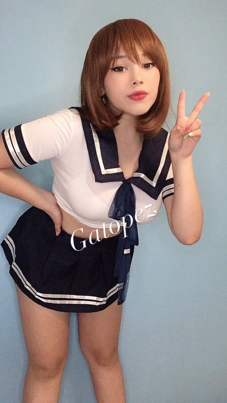 Gato Pez meilleur modèle archive