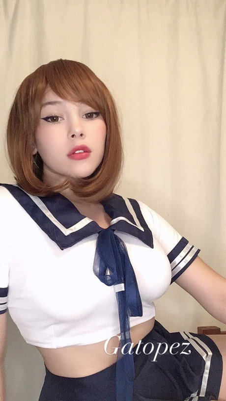 Gato Pez art étoile photo