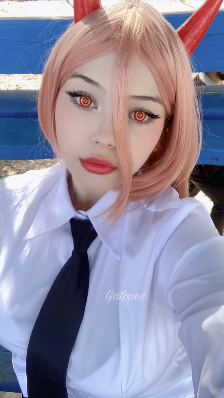 Gato Pez étoile magnifique archive